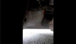 速腾最新爆料视频播放,视频揭秘高性能与科技魅力