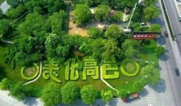 石家庄高邑爆料事件最新,揭秘石家庄最新社会热点背后的真相