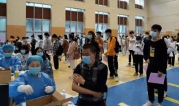 金婧最新爆料消息视频,揭秘娱乐圈惊人内幕！