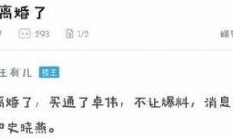 卓伟爆料周迅最新消息,神秘事件引关注