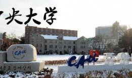 廊坊八中最新爆料,揭秘校园变革背后的故事”