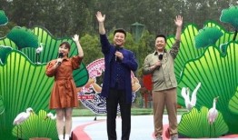 王智荣耀最新爆料视频,揭秘神秘角色与剧情高潮