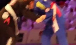 黑天鹅最新爆料视频,揭秘惊天秘密，颠覆传统认知