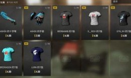 pubg什么时候出最新皮肤爆料,揭秘即将上线的神秘战服