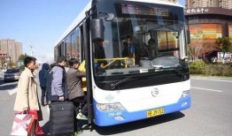 宁波最新公交车爆料,揭秘最新线路调整与优化