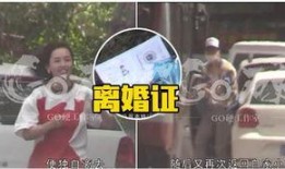 名星热点爆料最新消息,明星动向大揭秘，最新动态一网打尽！