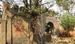 石家庄高邑爆料事件最新,揭秘石家庄最新社会热点背后的真相