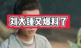 刘大锤最新爆料周也,周也最新动态揭秘