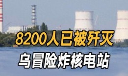 俄罗斯电厂爆料最新消息,揭秘能源危机背后的真相