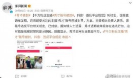 唐佳丽被爆料视频大全最新,揭秘背后真相与争议