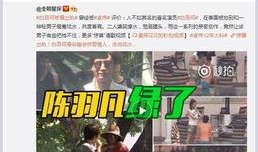 唐佳丽被爆料视频大全最新,揭秘背后真相与争议