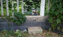 家园小区爆料视频最新,揭秘神秘事件真相！