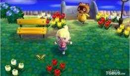 动物之森最新爆料