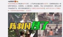 王雁林爆料视频大全最新,揭秘娱乐圈不为人知的一面